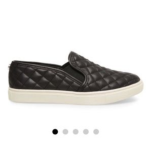 Steve Madden ECCENTRQ Sneaker